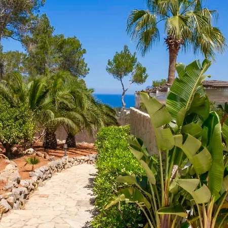 La Ibiza San José